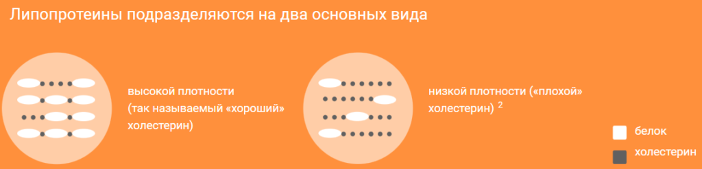 Плохой / хороший холестерин