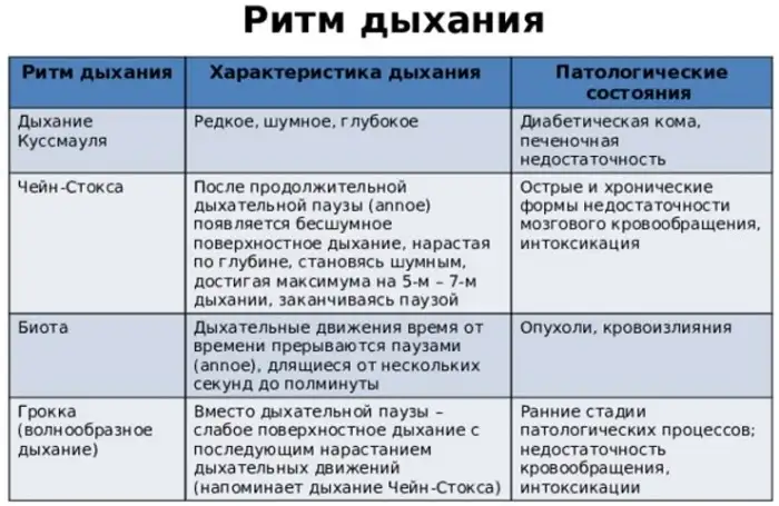 Ритм дыхания