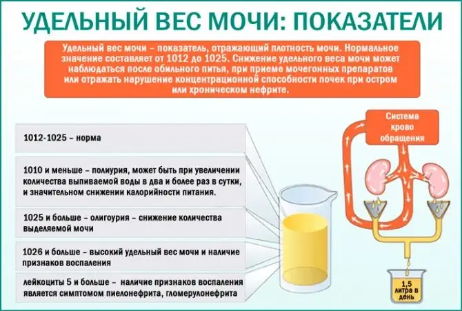 Удельный вес мочи 