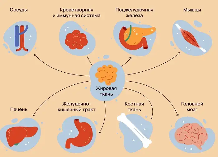 Связь артрита с органами человека