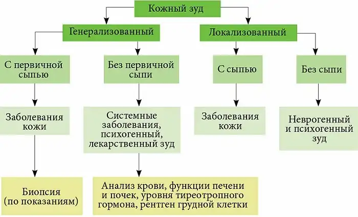 Виды зуда