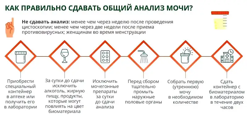 Как правильно сдавать обший анализ мочи?
