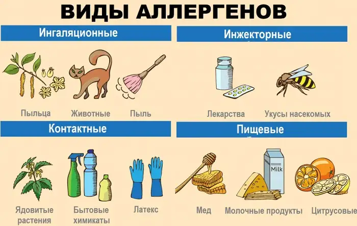 Виды аллергенов