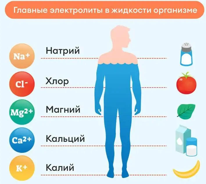Главные электролиты в жидкости в организме