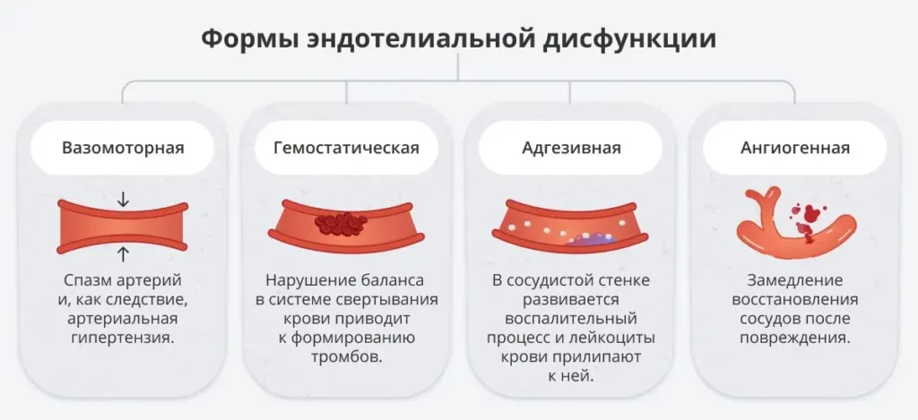 Формы эндотелиальной дисфункции