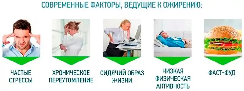 Современные факторы, ведущие к ожирению