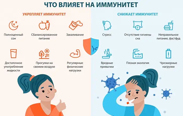 Что укрепляет и снижаем иммунитет?